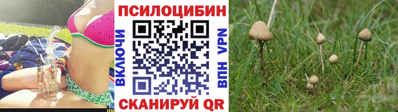 Галлюциногенные грибы Cubensis  kraken зеркало  Георгиевск 
